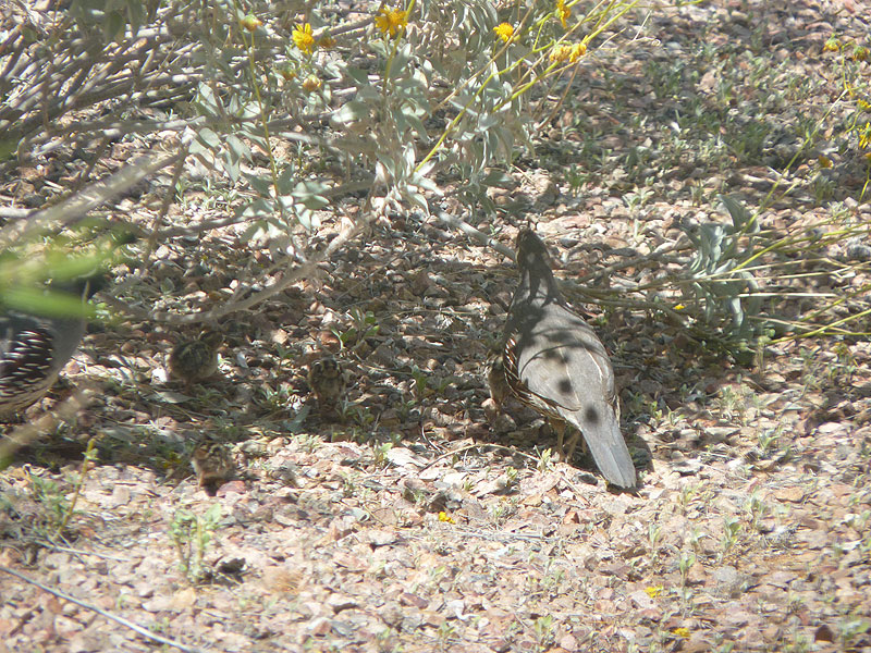 Clutch-1a-First-Glimpse-Apr